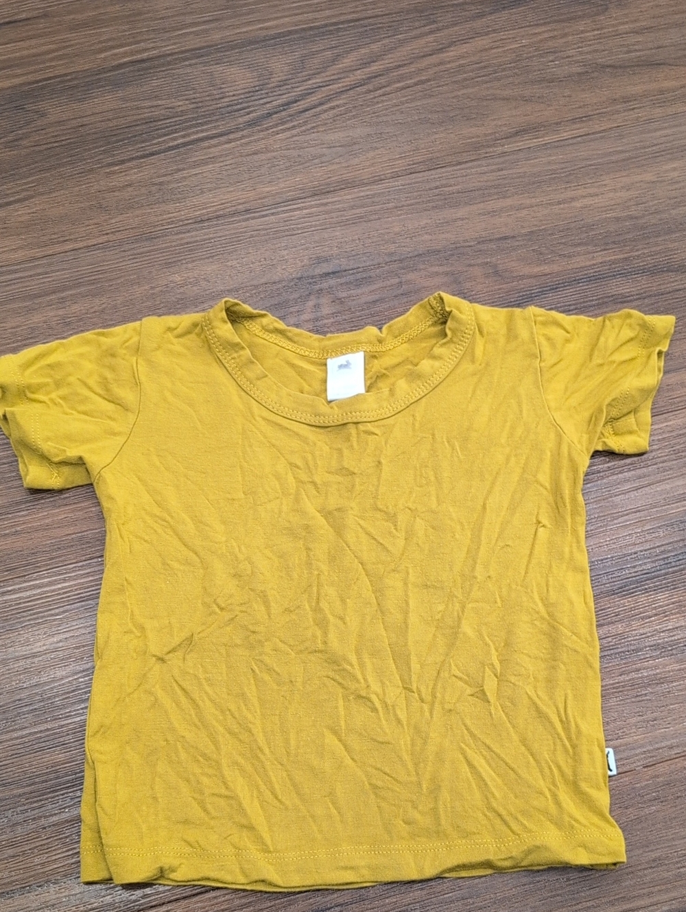 Little & Lively Shirt